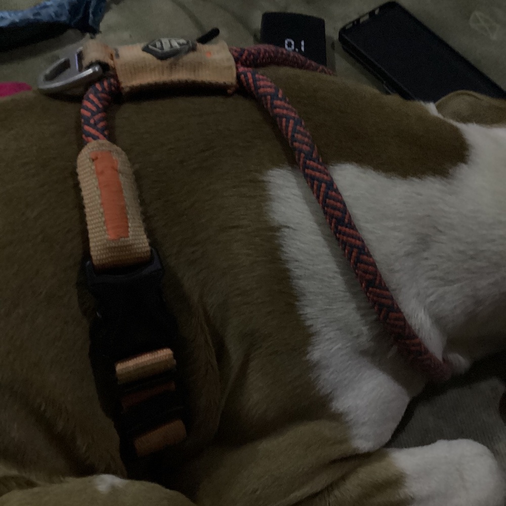 Large harness